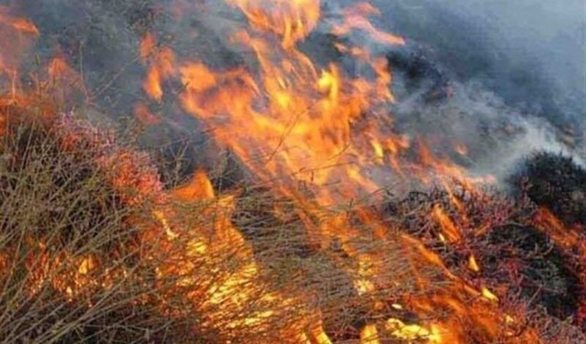 بیش از ۲۶ هکتار از مراتع و علوفه‌ای غرب و جنوب اصفهان درگیر حریق شد