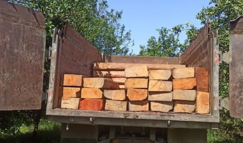 گیلان/ کشف 20 تُن چوب قاچاق در رودسر