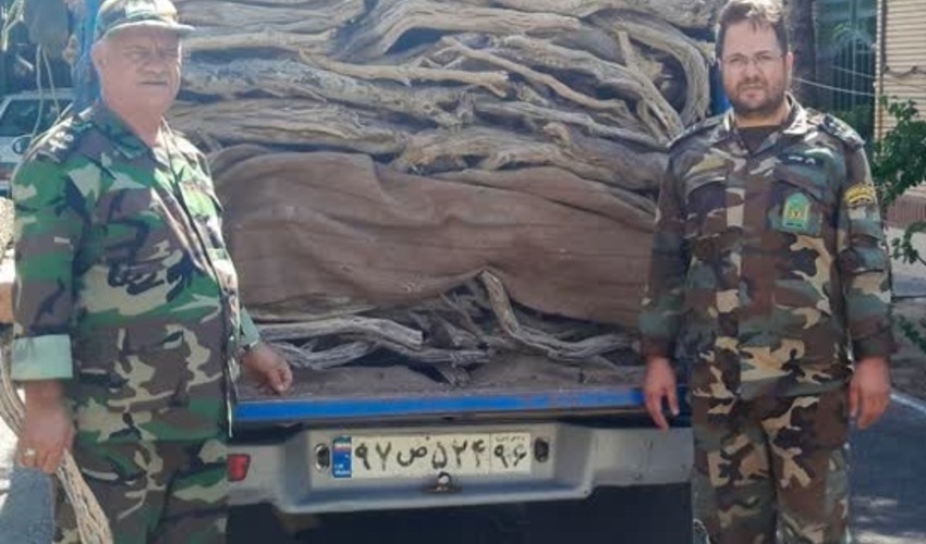 تهران / کشف و ضبط 1000 کیلو گرم چوب قاچاق در شهریار
