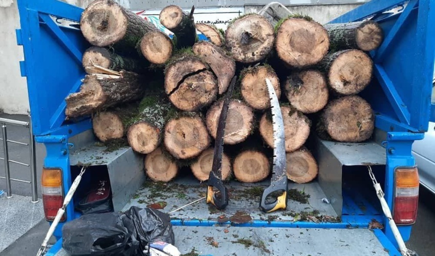 محموله چهار تُنی قاچاق چوب در چهارمحال و بختیاری کشف شد