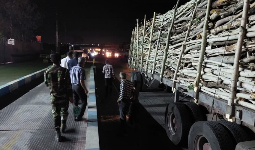 آذربایجان شرقی/ ناامن شدن محورهای مواصلاتی به تبریز برای قاچاقچیان چوب
