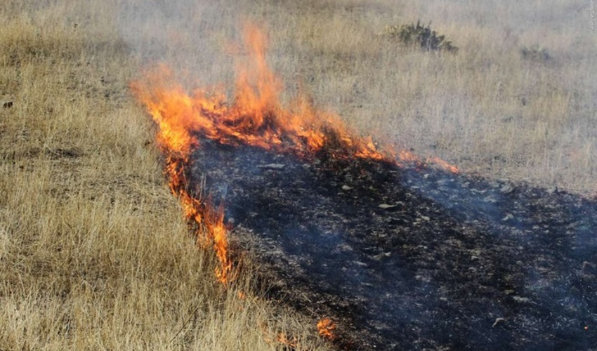لرستان/ آتش سوزي مراتع روستاي درب آستانه دورود مهار شد