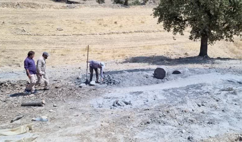 کهگیلویه و بویراحمد/ حفاظت از عرصه‌های جنگلی مشارکت جوامع محلی را می طلبد