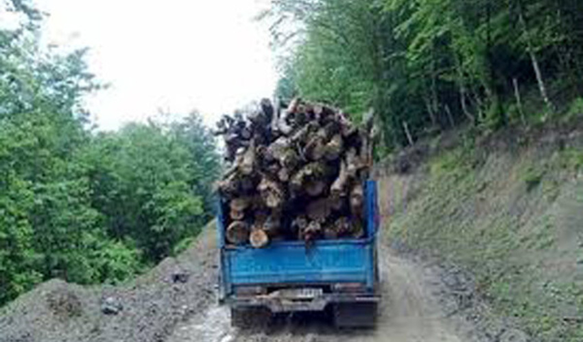 21 تُن چوب جنگلی در اصفهان توقیف شد/ مجروح شدن 4 جنگلبان