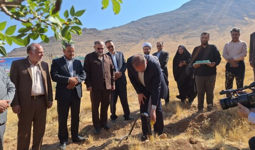 تولید بیش از ۲۴۰ میلیون اصله نهال در سال گذشته در کشور