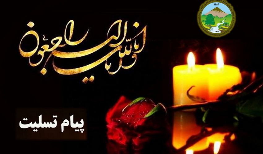 پیام تسلیت سرپرست سازمان منابع طبیعی در پی درگذشت دکتر رافت نیا