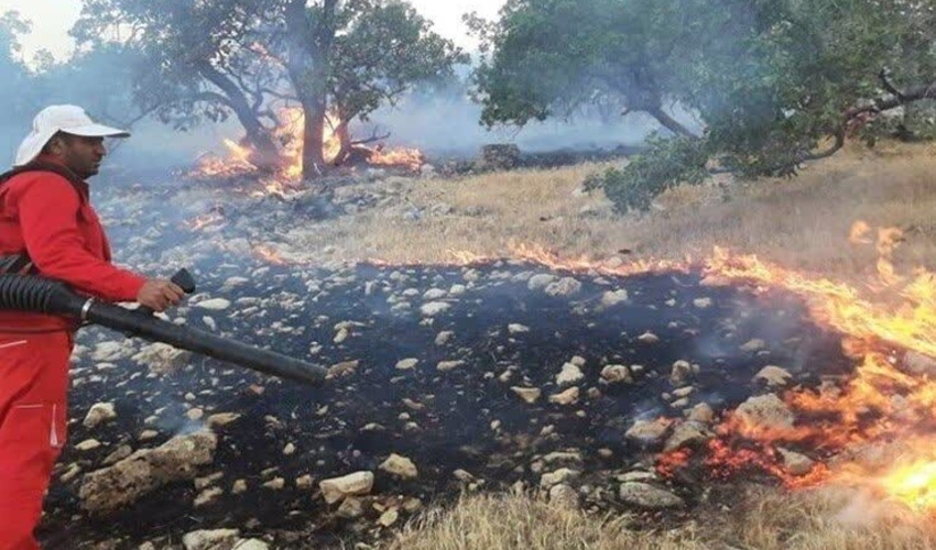گلستان/ آتش ارتفاعات مرزبن کردکوی با حضور نیروهای منابع طبیعی و مردمی و امدادی مهار شد