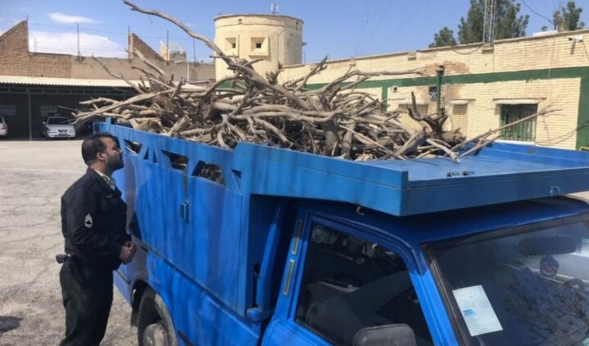 سمنان/ کشف یک تُن چوب تاغ قاچاق در شهرستان میامی