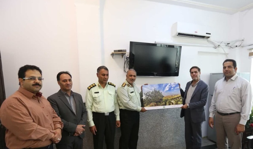 بیشترین استقبال در طرح زراعت چوب استان سمنان شهرستان گرمسار است