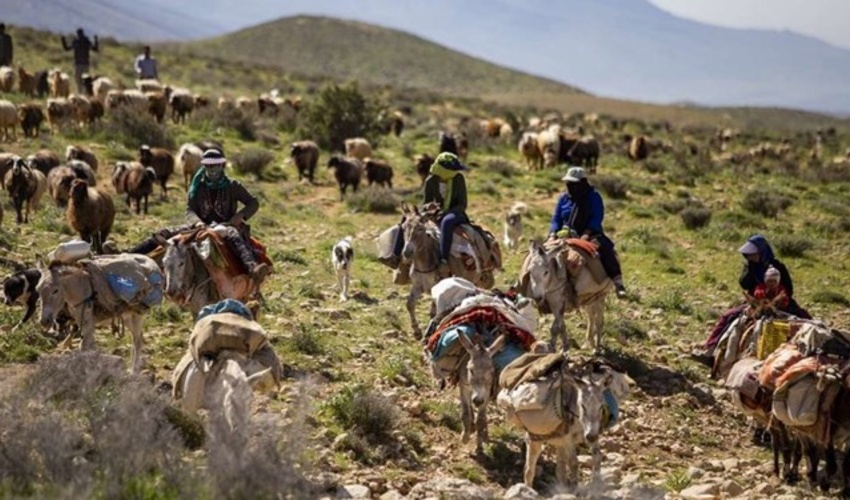 تاکید بر رعایت تقویم کوچ پائیزه در سال 1403