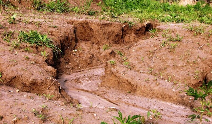 خطر سالانه ۲ میلیارد تن فرسایش خاک بیخ گوش ایران!