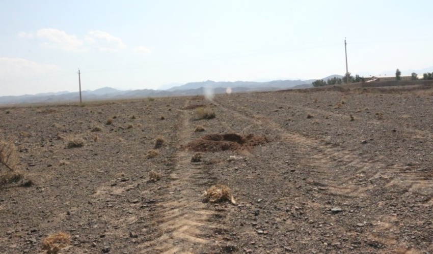 قم/ اجرای پروژه نهال کاری درسطح ۲۲۰ هکتار در منطقه سیرو شهرستان کهک