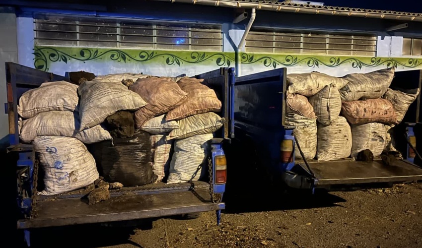 توقیف دو دستگاه وانت نیسان حامل بیش از 2 تن خاک پیت در اردبیل