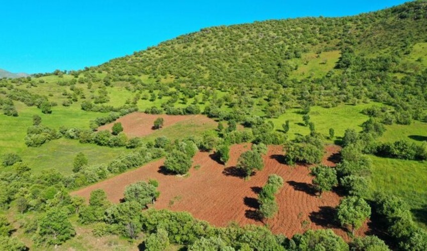 ۳۴ هزار درخواست در سامانه " زمین" لرستان ثبت شد