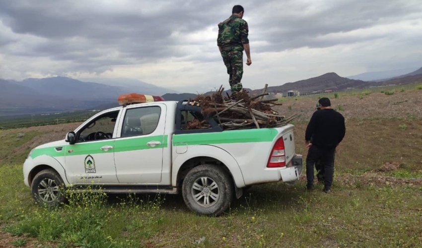 زنجان / آزادسازی بیش از 40 هکتار زمین ملی در طارم