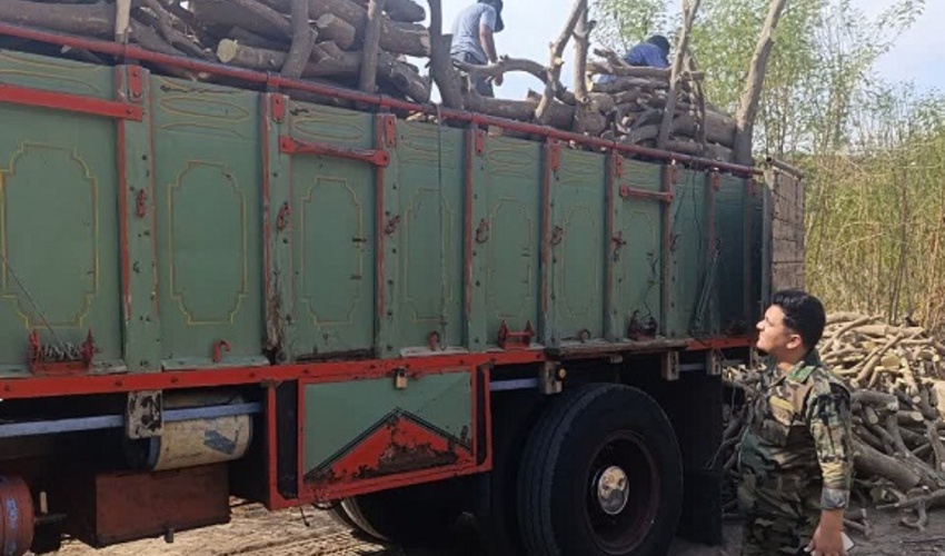 جنوب کرمان/ کشف و ضبط ۹ تُن چوب بدون مجوز حمل در شهرستان جیرفت