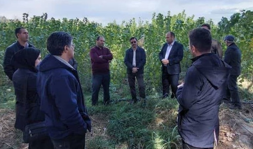 بازدید رئیس مرکز جنگل‌های خارج از شمال از نهالستان بزرگ کرج