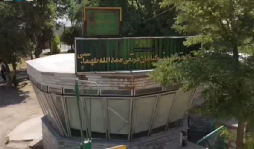 راه اندازی مجدد ایستگاه های تولید بذر گیاهان مرتعی و نقش کلیدی در توسعه منابع طبیعی پایدار 