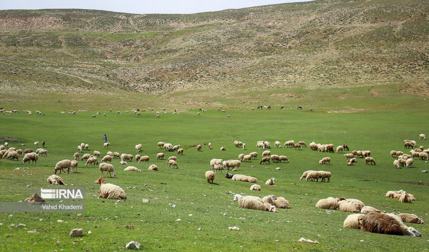 آغاز طرح‌های منابع طبیعی برای اجرای برنامه هفتم توسعه 