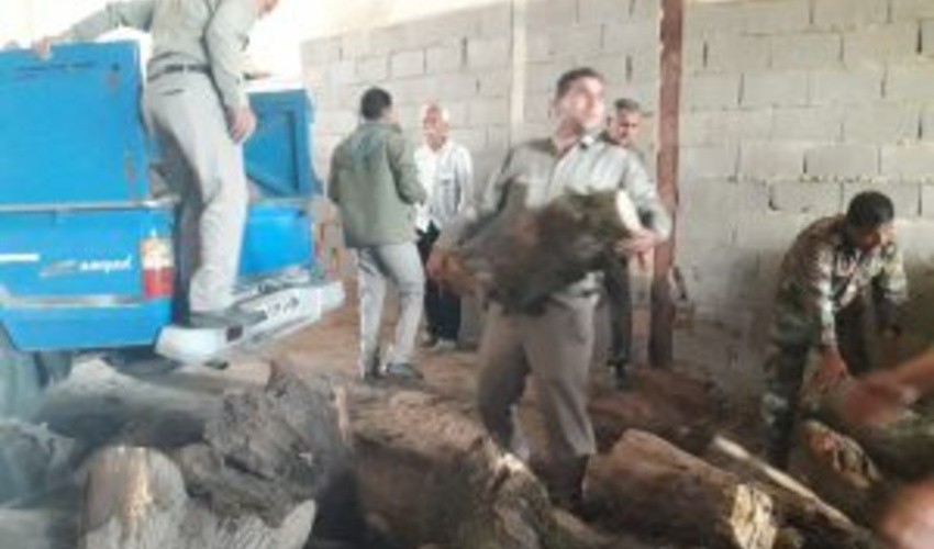 گلستان/ کشف چوب آلات قاچاق تبدیل شده به چیپس چوب و گرده بینه در شهرستان گنبد کاووس