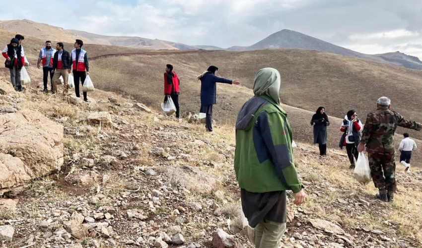 عملیات بذر پاشی در ۳۰ هکتار از مراتع شهرستان قزوین آغاز شد
