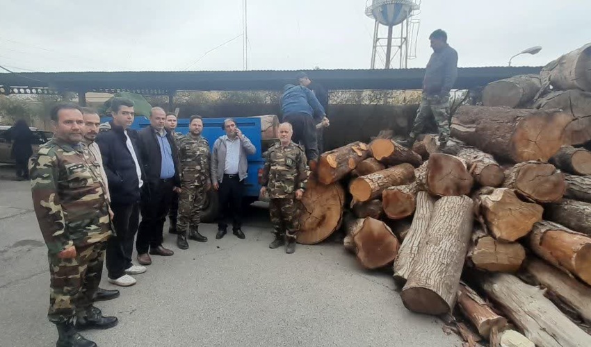 تهران/ کشف و ضبط 1500 کیلو گرم چوب قاچاق در شهرستان بهارستان