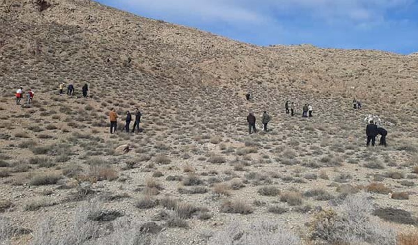 همدان/ اجرای پروژه کپه‌کاری و بذرپاشی در اراضی ملایر