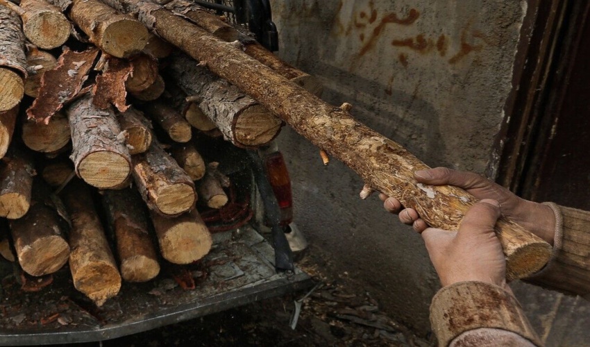 اصفهان/ کشف ۶ تن چوب بلوط در کارگاه تولید زغال خمینی‌شهر؛ یک نفر دستگیر شد
