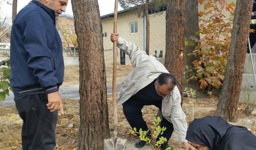 تهران/ کاشت ۱۰۰ اصله نهال به مناسبت هفته بسیج و در راستای طرح مردمی کاشت یک میلیارد درخت