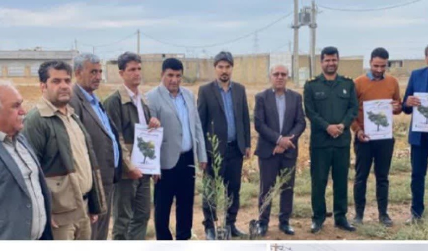 ایلام/ کاشت 3 هزار نهال، نوید آینده ای سبز به یاد شهدا