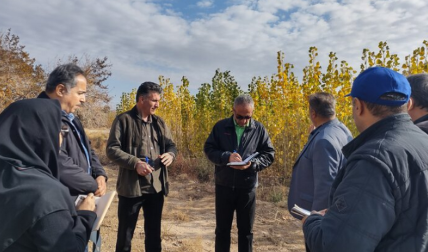 26 نهالستان جنگلی در مناطق هیرکانی کشور فعال هستند