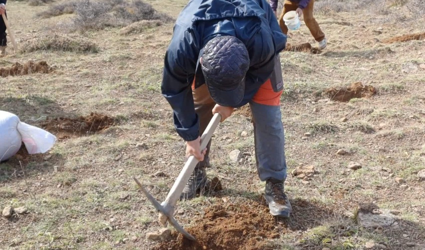 مازندران - نوشهر/ احیای مراتع با همراهی بهره‌برداران و رویکرد مشارکتی