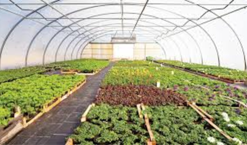 خراسان جنوبی / بیش از 540 هکتار اراضی برای طرح کشاورزی و غیر کشاورزی در بیرجند واگذار شد