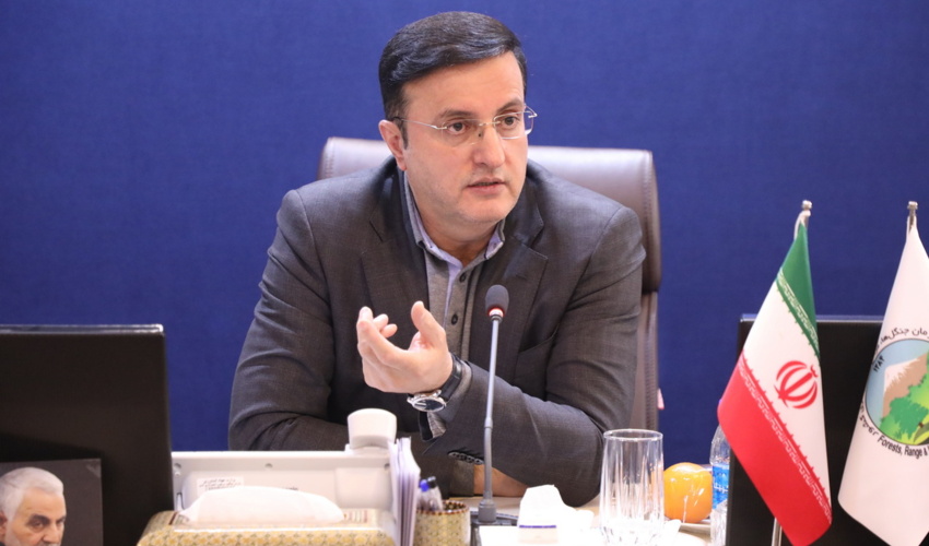 تثبیت مالکیت اموال عمومی وظیفه سازمان منابع طبیعی است