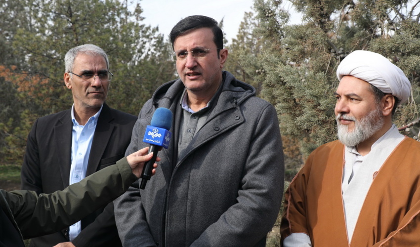 تولید ۱۲۰ میلیون نهال  زراعت چوب توسط بخش خصوصی / لزوم افزایش سرانه فضای سبز در کشور