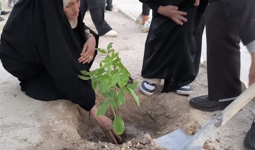 استان ایلام؛ پیشرو در زمینه تولید نهال