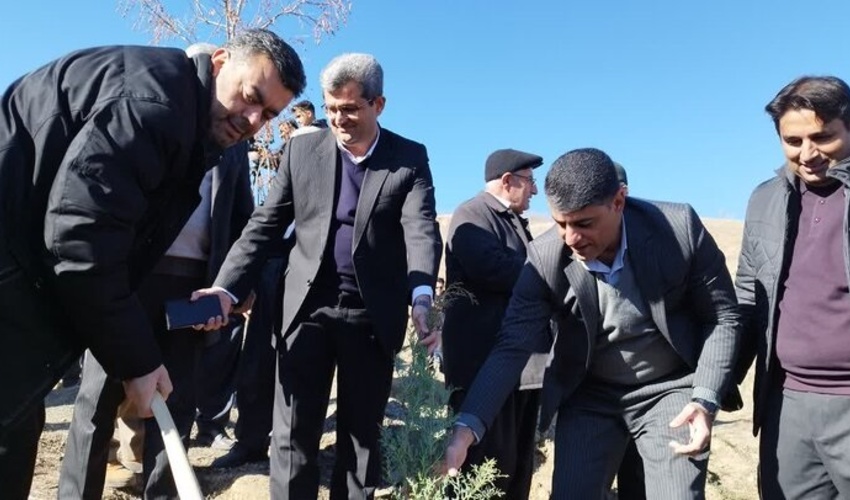 کردستان/ غرس 1000 اصله درخت در پارک جنگلی توس نوذر سنندج