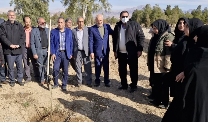 مدیرکل دفتر بازرسی منابع طبیعی: 250 میلیون اصله نهال امسال تولید شد