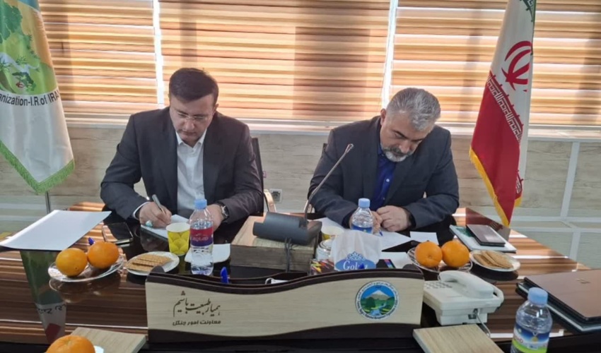 طرح مدیریت پایدار جنگل، تفکر اکوسیستمی است