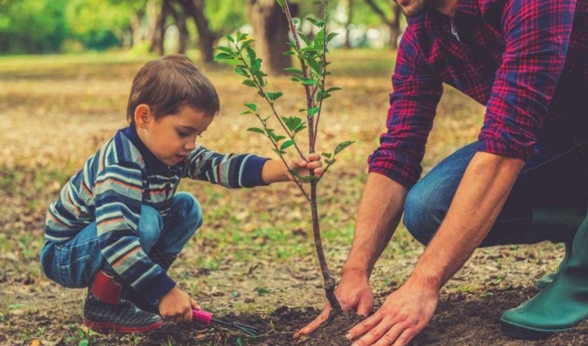 جنگل‌کاری، ضرورتی برای مدیریت پایدار منابع طبیعی