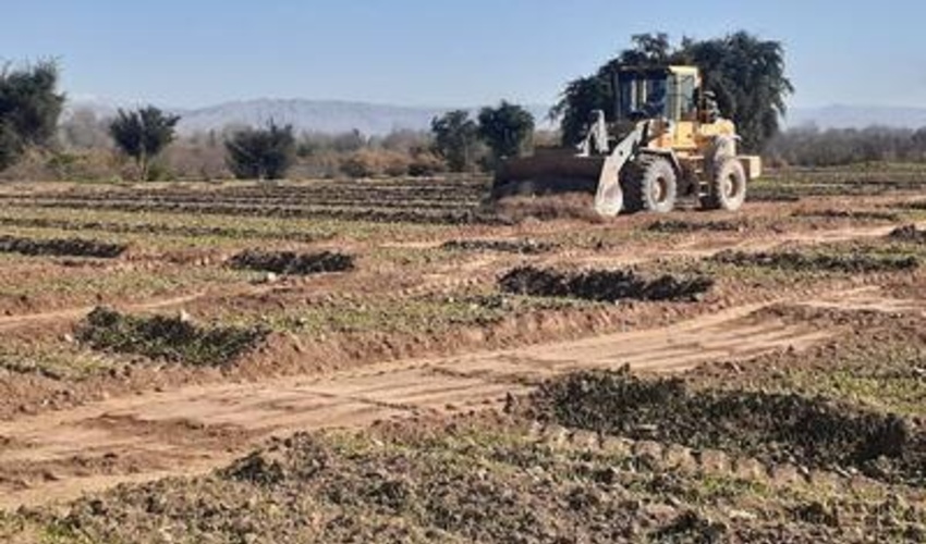 بازپس‌گیری 37 هزار متر مربع زمین ملی در استان کرمانشاه