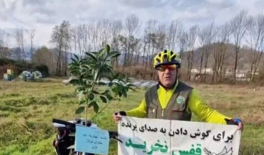  برای شنیدن صدای پرندگان قفس نخرید، درخت بکارید!