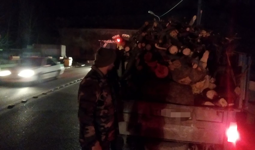 کشف محموله قاچاق چوب جنگلی در عملیات گشت یگان حفاظت منابع طبیعی البرز