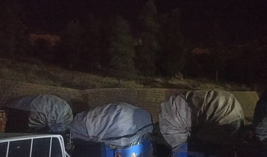 کشف ۱۰ تُن ریشه شیرین‌بیان از قاچاقچیان در استان فارس