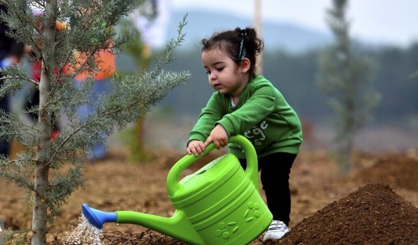 سه هزار نهال در پویش"به نام پدر" در سیستان و بلوچستان غرس شد