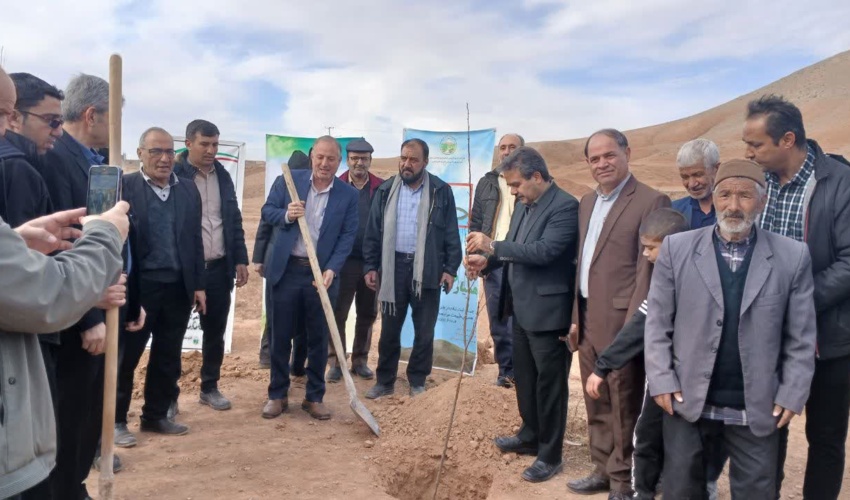 در پویش درختکاری به نام پدر؛ 14هزار نهال در خراسان رضوی کاشته شد