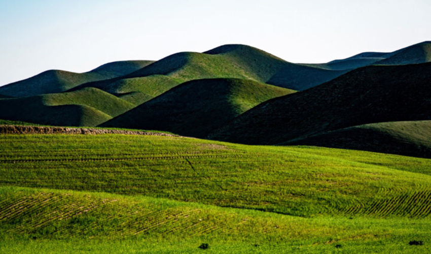ثبت روز ملی مرتع و مرتعداری در تقویم کشور؛ گامی مهم در جهت حفاظت از منابع طبیعی 