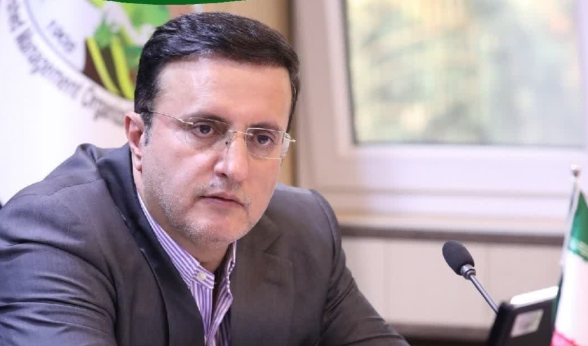 تیموری معاون وزیر و رئیس سازمان منابع طبیعی شد