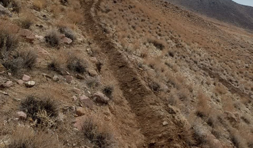 کرمان/ آغاز اجرای پروژه بیومکانیک در سطح 200هکتار از مراتع سیرجان