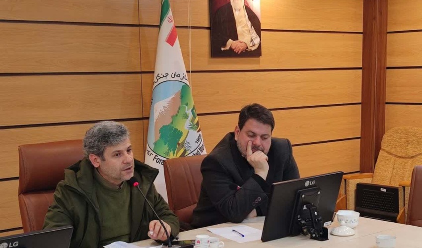 همکاری سازمان منابع طبیعی و صدا و سیما برای پوشش باشکوه هفته منابع طبیعی 